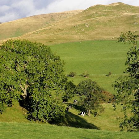 Gateside Farmhouse Sedbergh Dış mekan fotoğraf