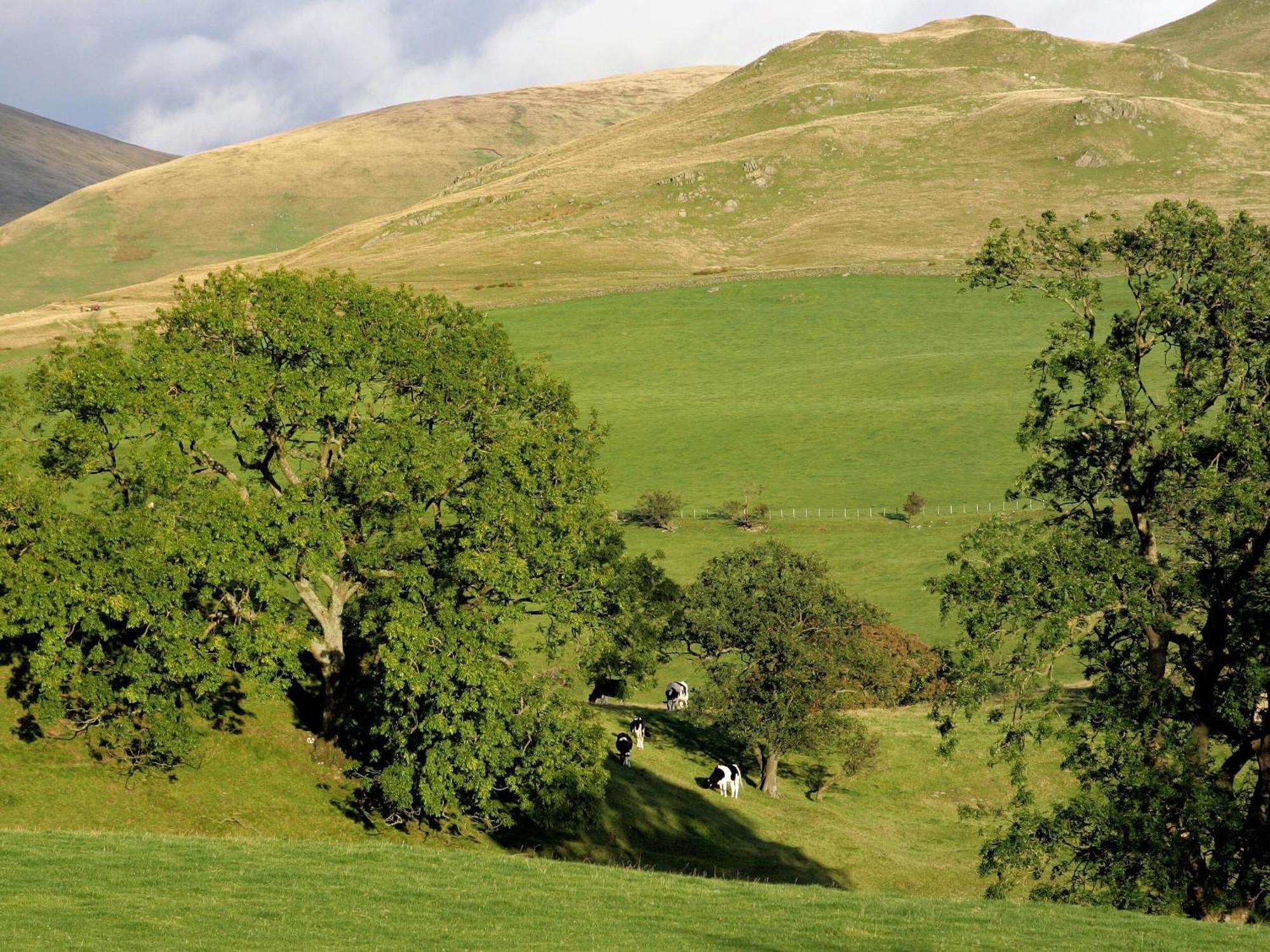 Gateside Farmhouse Sedbergh Dış mekan fotoğraf